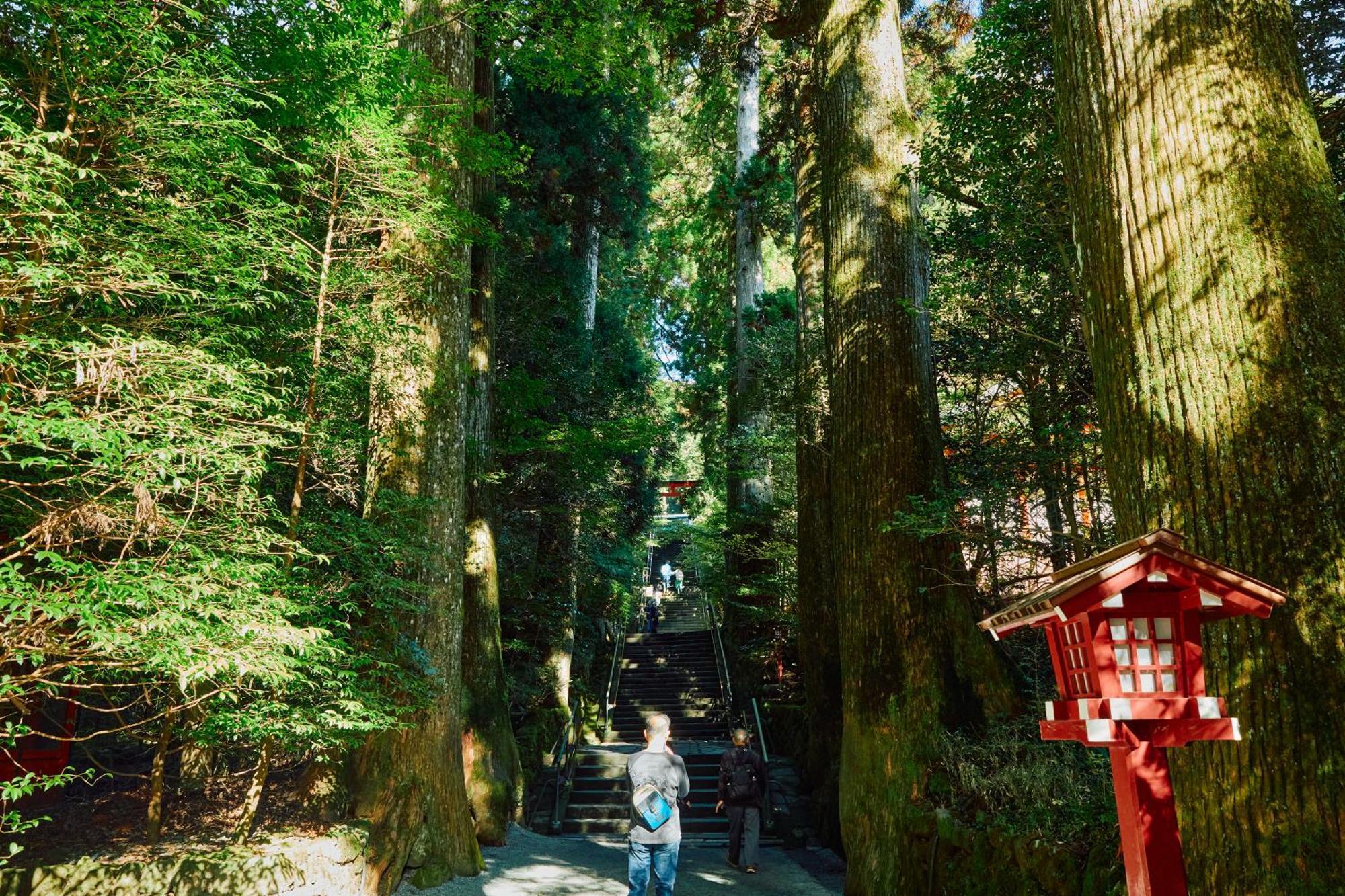 Villa Hakone Kabuto 古民家旅館 150平米 バス停迄一分 準天然温泉 最大12名 Екстериор снимка